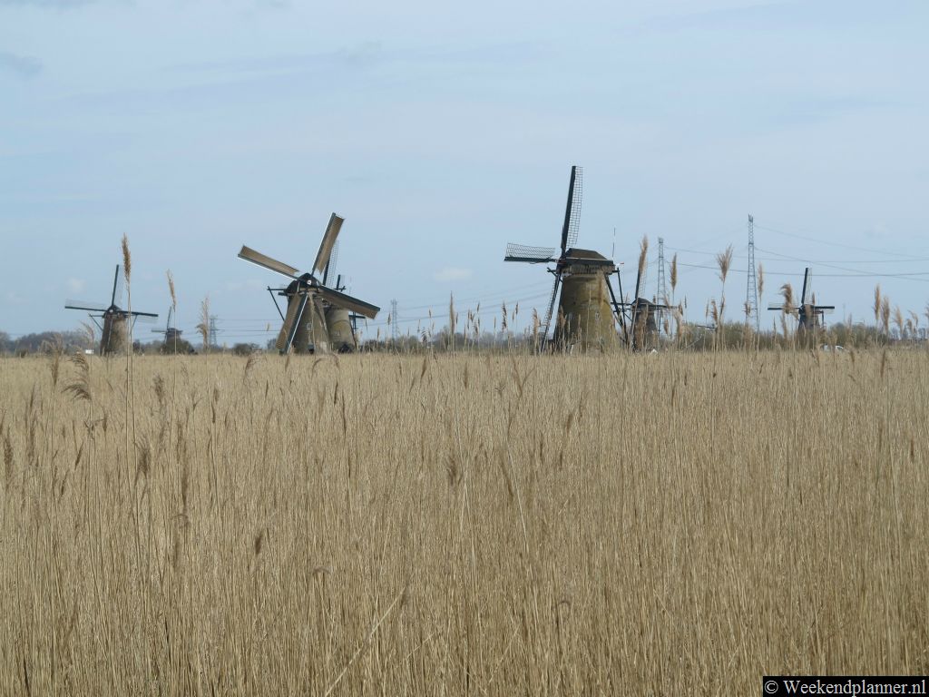 De molens van Kinderdijk staan op de Werelderfgoedlijst van UNESCO en zijn een toeristische trekpleister. Tip: Een dagje naar de molens van Kinderdijk..